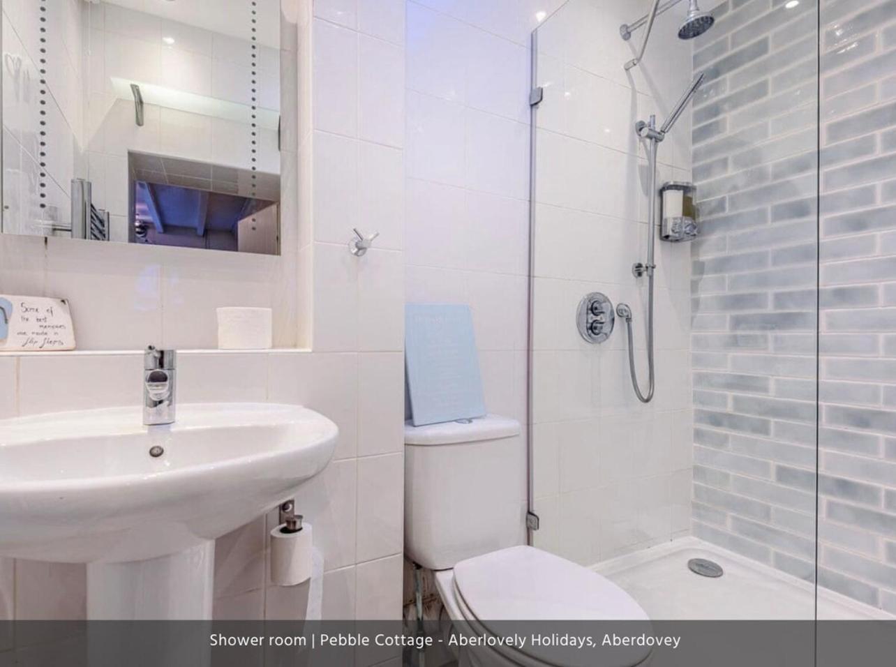 Pebble Cottage Aberdyfi Εξωτερικό φωτογραφία