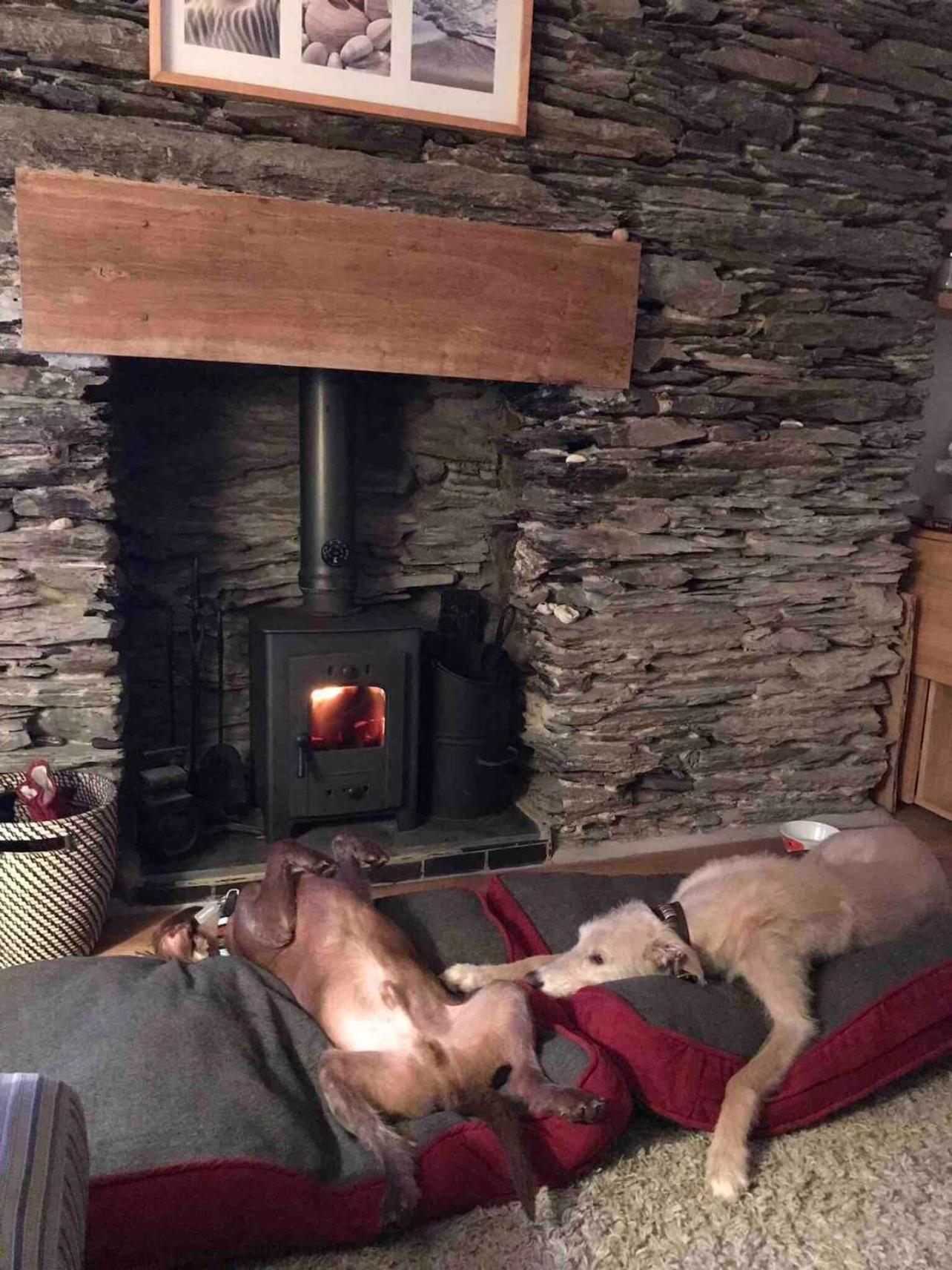 Pebble Cottage Aberdyfi Εξωτερικό φωτογραφία